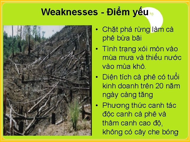 Weaknesses - Điểm yếu • Chặt phá rừng làm cà phê bừa bãi •