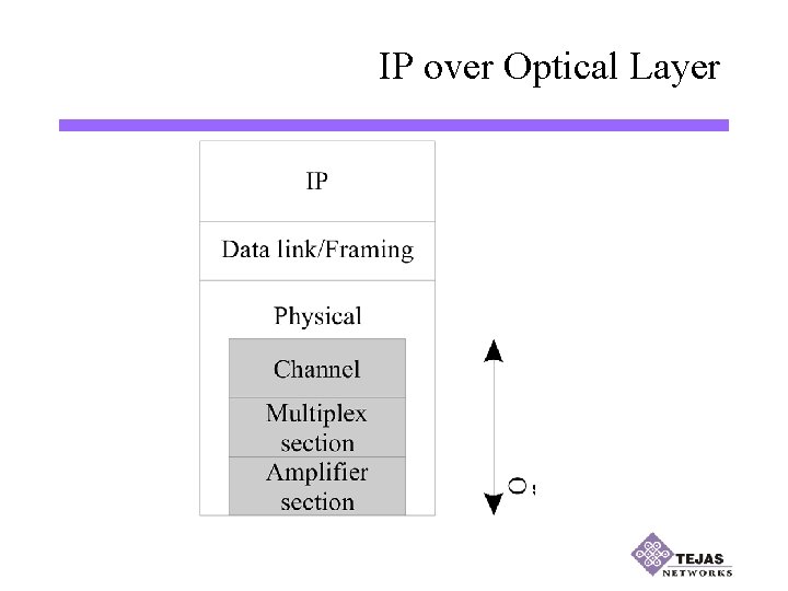 IP over Optical Layer 