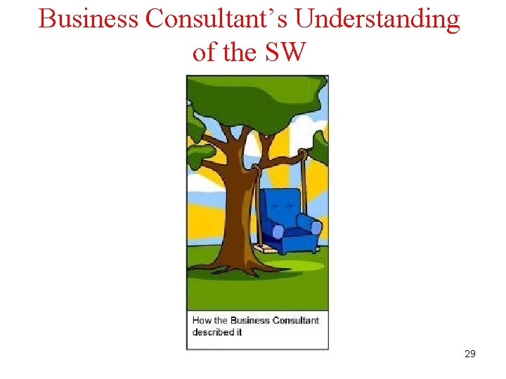 Business Consultant’s Understanding of the SW 29 