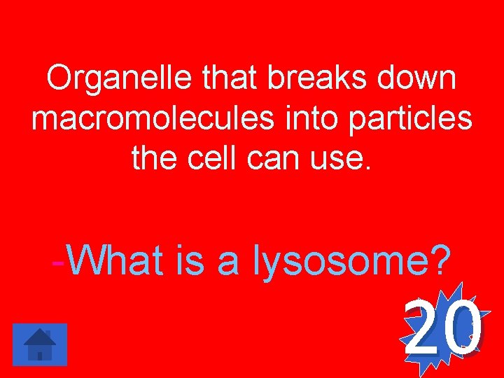 Organelle that breaks down macromolecules into particles the cell can use. -What is a