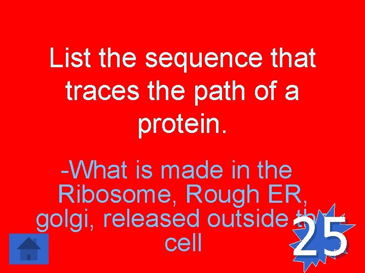 List the sequence that traces the path of a protein. -What is made in