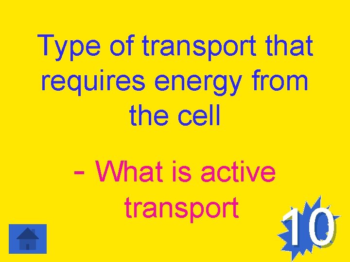 Type of transport that requires energy from the cell - What is active transport