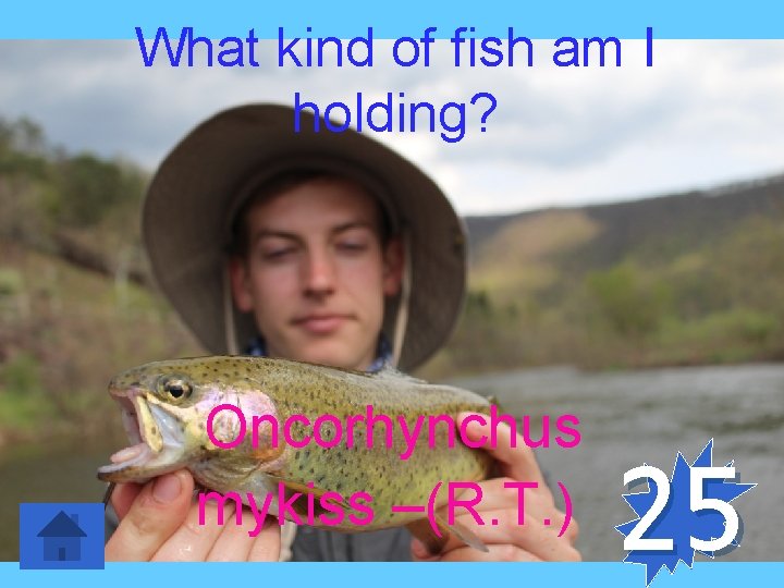 What kind of fish am I holding? Oncorhynchus mykiss –(R. T. ) 25 