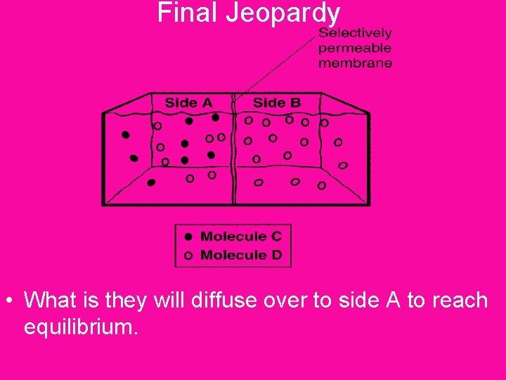 Final Jeopardy • What is they will diffuse over to side A to reach