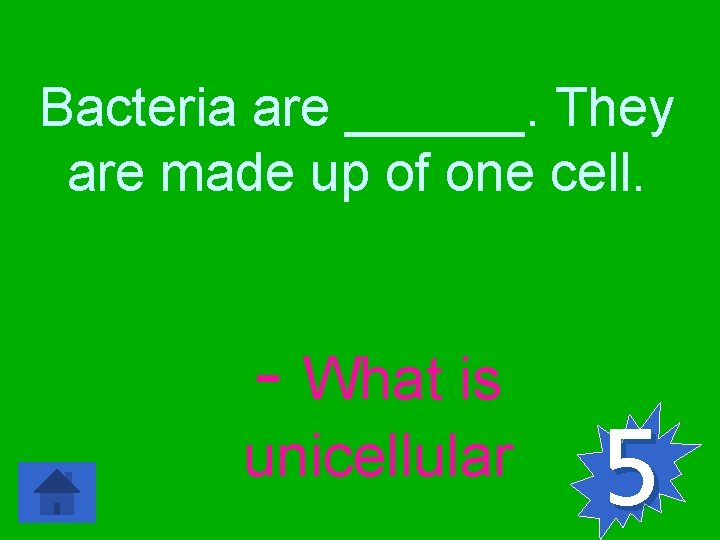 Bacteria are ______. They are made up of one cell. - What is unicellular