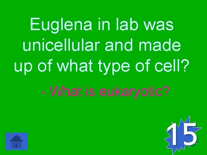 Euglena in lab was unicellular and made up of what type of cell? -