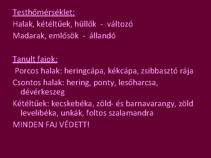 Testhőmérséklet: Halak, kétéltűek, hüllők - változó Madarak, emlősök - állandó Tanult fajok: Porcos halak: