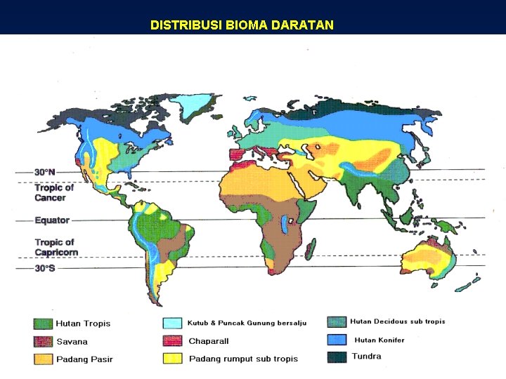 DISTRIBUSI BIOMA DARATAN 