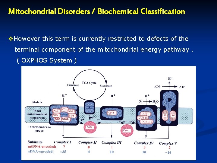 Mitochondrial Disorders / Biochemical Classification v. However this term is currently restricted to defects Mitochondrial Disorders / Biochemical Classification v. However this term is currently restricted to defects