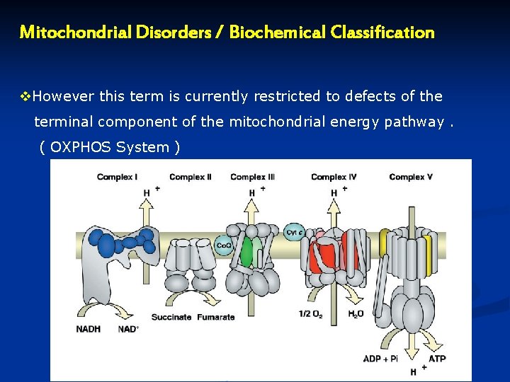 Mitochondrial Disorders / Biochemical Classification v. However this term is currently restricted to defects Mitochondrial Disorders / Biochemical Classification v. However this term is currently restricted to defects
