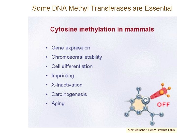 Some DNA Methyl Transferases are Essential Alex Meissner, Henry Stewart Talks 