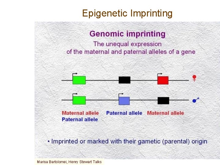 Epigenetic Imprinting Marisa Bartolomei, Henry Stewart Talks 