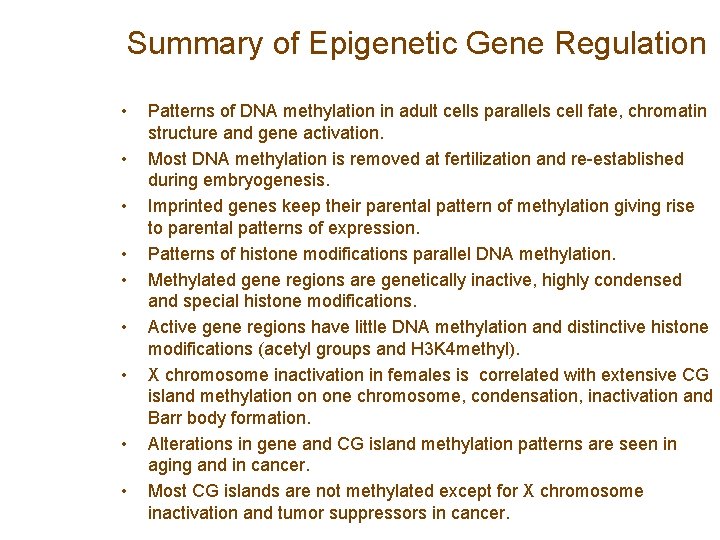 Summary of Epigenetic Gene Regulation • • • Patterns of DNA methylation in adult