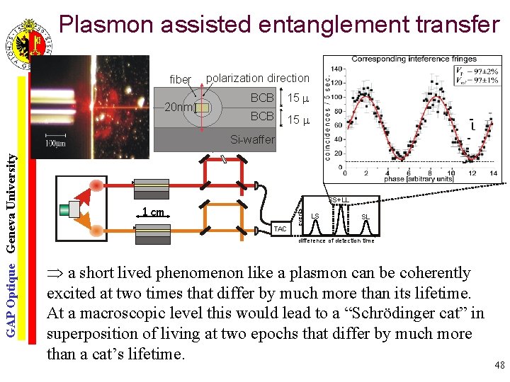 Plasmon assisted entanglement transfer polarization direction 20 nm GAP Optique Geneva University phase BCB