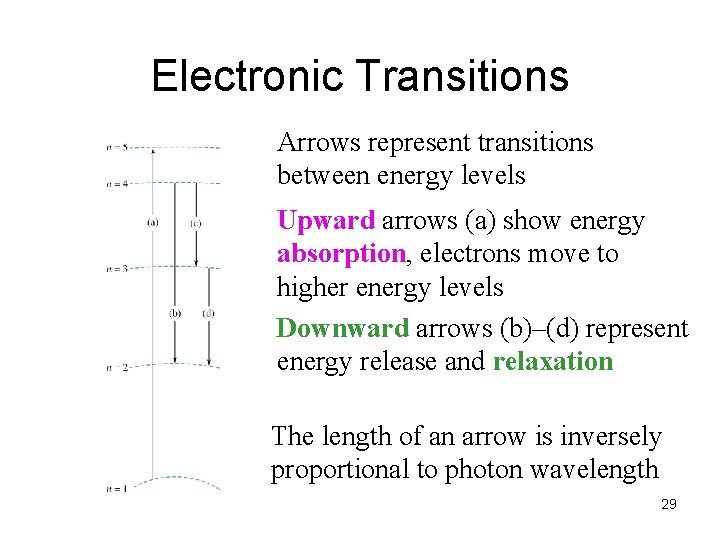 Electronic Transitions Arrows represent transitions between energy levels Upward arrows (a) show energy absorption,