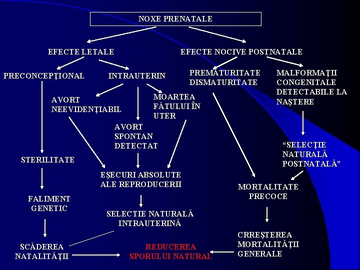 NOXE PRENATALE EFECTE LETALE PRECONCEPŢIONAL EFECTE NOCIVE POSTNATALE INTRAUTERIN AVORT NEEVIDENŢIABIL PREMATURITATE DISMATURITATE MOARTEA