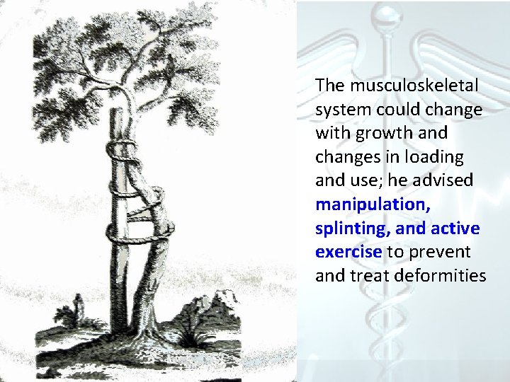 splinting The musculoskeletal system could change with growth and changes in loading and use;