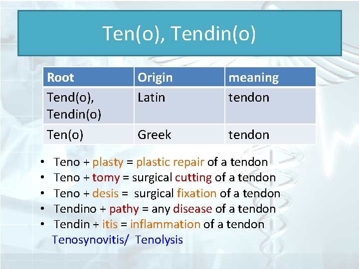 Ten(o), Tendin(o) Root Tend(o), Tendin(o) Ten(o) Origin Latin meaning tendon Greek tendon • Teno