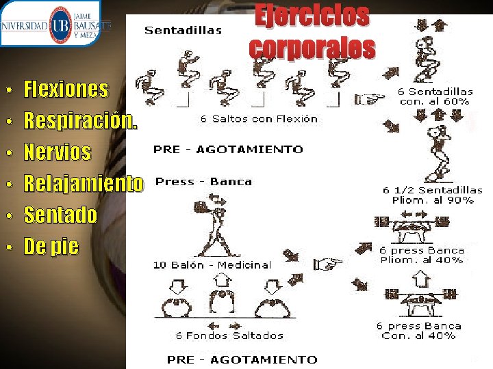 Ejercicios corporales • • • Flexiones Respiración. Nervios Relajamiento Sentado De pie 