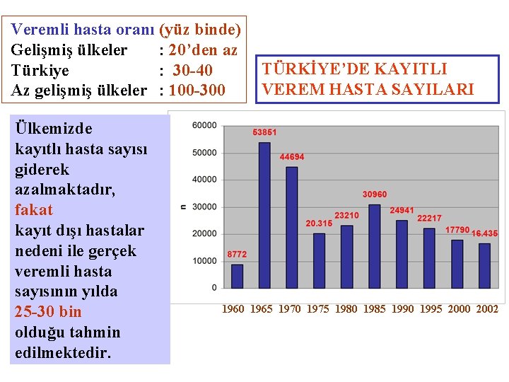 Veremli hasta oranı (yüz binde) Gelişmiş ülkeler : 20’den az Türkiye : 30 -40