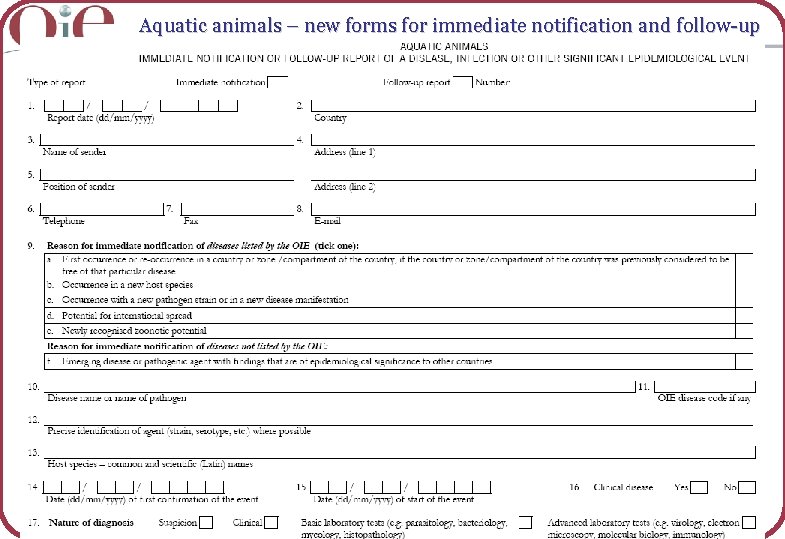 Aquatic animals – new forms for immediate notification and follow-up OIE World Animal Health