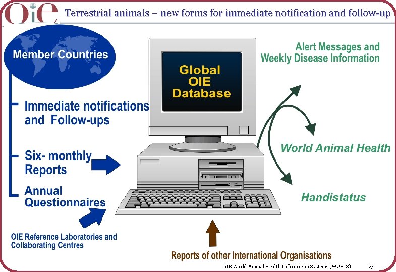 Terrestrial animals – new forms for immediate notification and follow-up OIE World Animal Health