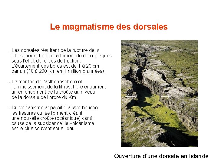 Le magmatisme des dorsales - Les dorsales résultent de la rupture de la lithosphère Le magmatisme des dorsales - Les dorsales résultent de la rupture de la lithosphère