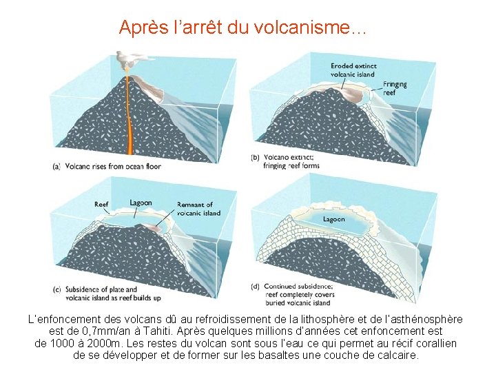 Après l’arrêt du volcanisme… L’enfoncement des volcans dû au refroidissement de la lithosphère et Après l’arrêt du volcanisme… L’enfoncement des volcans dû au refroidissement de la lithosphère et
