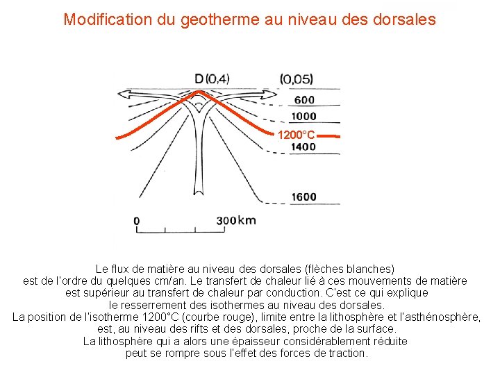 Modification du geotherme au niveau des dorsales 1200°C Le flux de matière au niveau Modification du geotherme au niveau des dorsales 1200°C Le flux de matière au niveau
