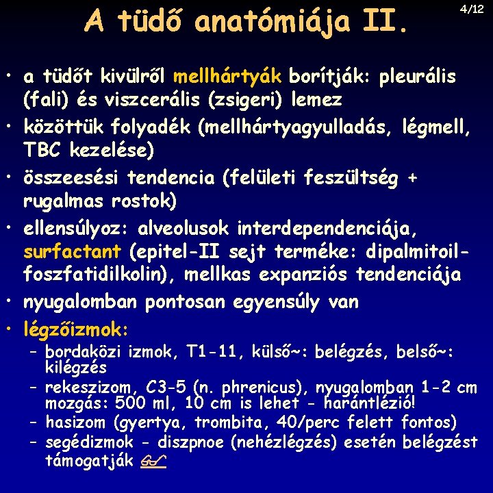 A tüdő anatómiája II. 4/12 • a tüdőt kivülről mellhártyák borítják: pleurális (fali) és