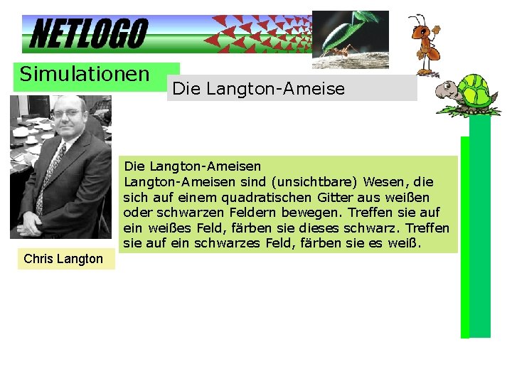 Simulationen Die Langton-Ameisen sind (unsichtbare) Wesen, die sich auf einem quadratischen Gitter aus weißen