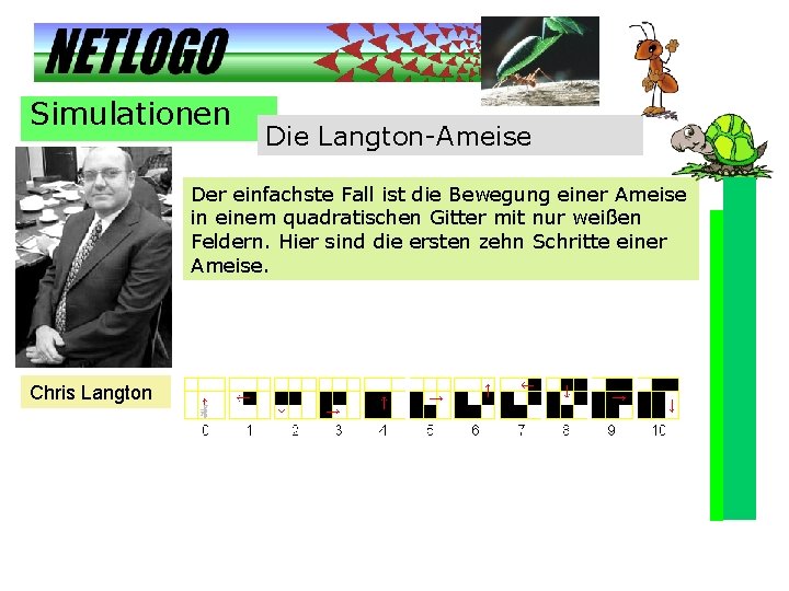 Simulationen Die Langton-Ameise Der einfachste Fall ist die Bewegung einer Ameise in einem quadratischen