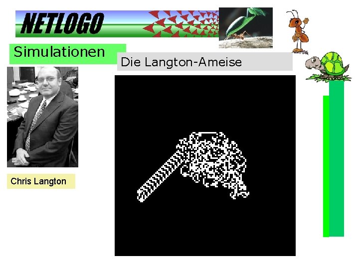Simulationen Chris Langton Die Langton-Ameise 