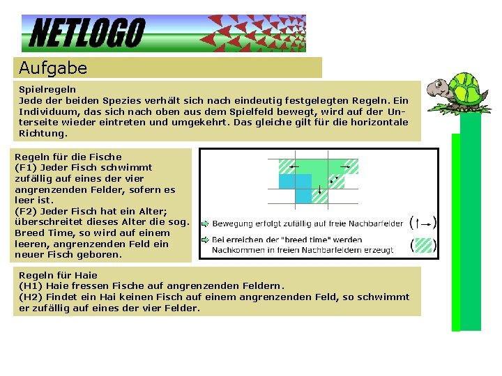 Aufgabe Spielregeln Jede der beiden Spezies verhält sich nach eindeutig festgelegten Regeln. Ein Individuum,
