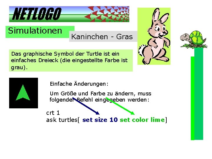 Simulationen Kaninchen - Gras Das graphische Symbol der Turtle ist einfaches Dreieck (die eingestellte