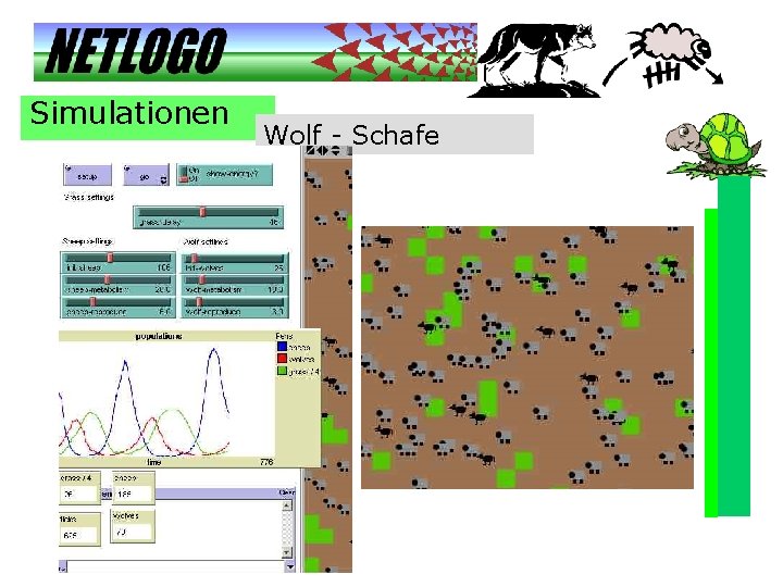 Simulationen Wolf - Schafe 