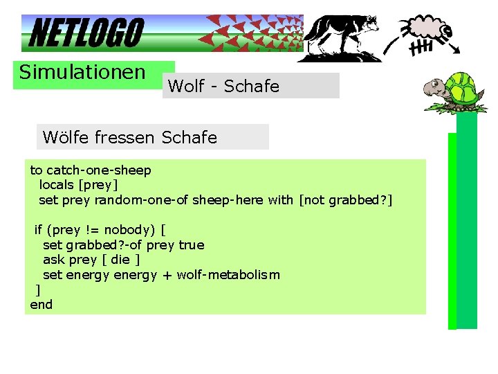 Simulationen Wolf - Schafe Wölfe fressen Schafe to catch-one-sheep locals [prey] set prey random-one-of