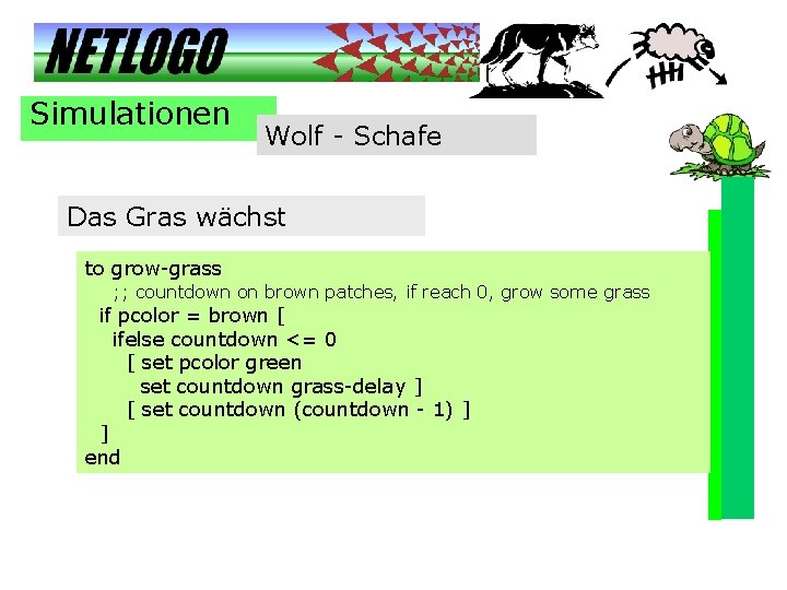 Simulationen Wolf - Schafe Das Gras wächst to grow-grass ; ; countdown on brown