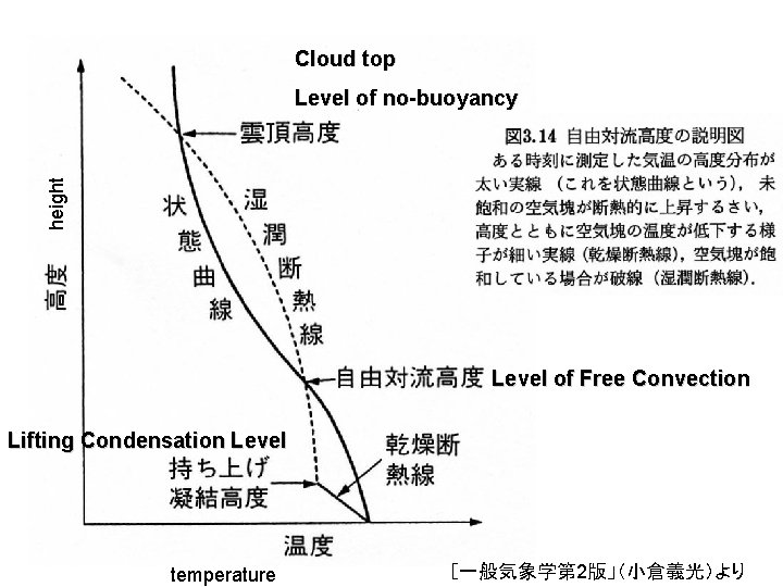 Cloud top height Level of no-buoyancy Level of Free Convection Lifting Condensation Level temperature