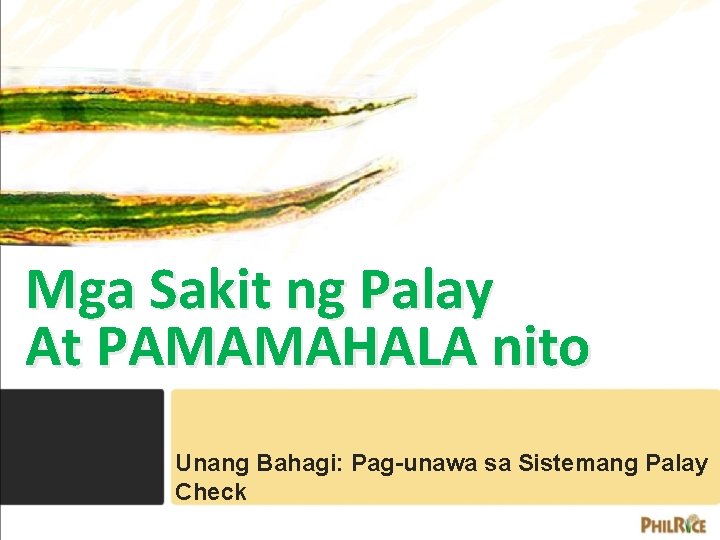 Mga Sakit ng Palay At PAMAMAHALA nito Unang Bahagi: Pag-unawa sa Sistemang Palay Check