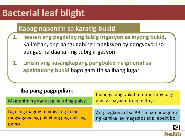Bacterial leaf blight Kapag napansin sa karatig-bukid 1. Iwasan ang pagdaloy ng tubig irigasyon