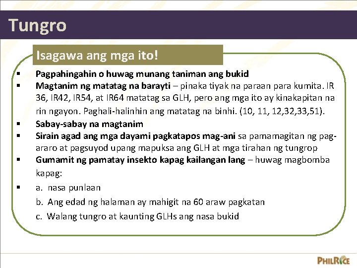 Tungro Isagawa ang mga ito! § § § Pagpahingahin o huwag munang taniman ang