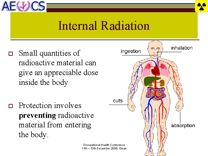 Internal Radiation o Small quantities of radioactive material can give an appreciable dose inside