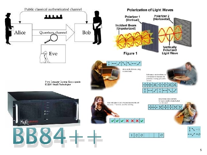 BB 84++ 5 BB 84++ 5