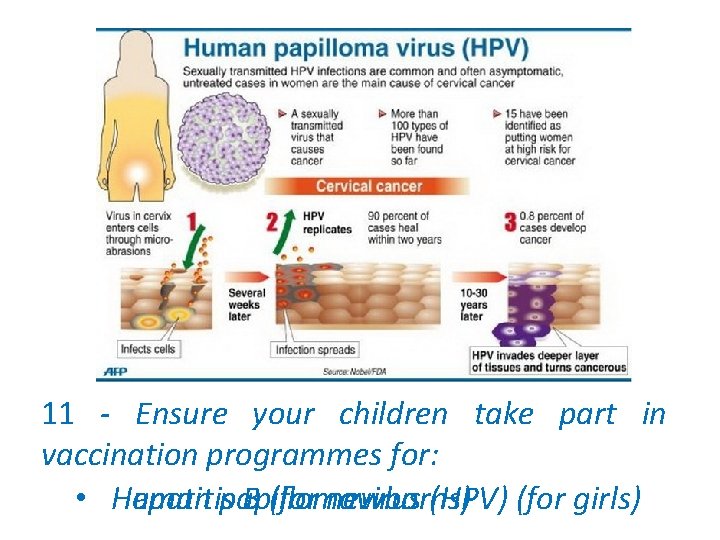 11 - Ensure your children take part in vaccination programmes for: • Hepatitis Human