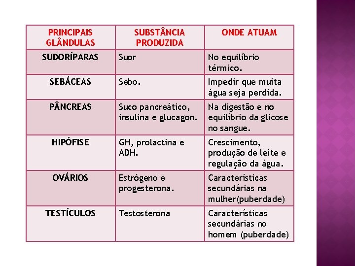 PRINCIPAIS GL NDULAS SUBST NCIA PRODUZIDA ONDE ATUAM SUDORÍPARAS Suor No equilíbrio térmico. SEBÁCEAS