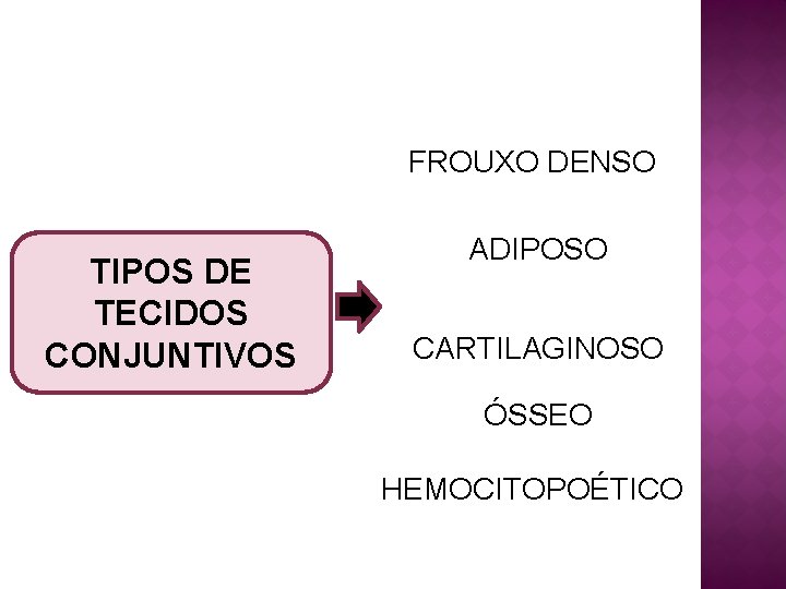 FROUXO DENSO TIPOS DE TECIDOS CONJUNTIVOS ADIPOSO CARTILAGINOSO ÓSSEO HEMOCITOPOÉTICO 