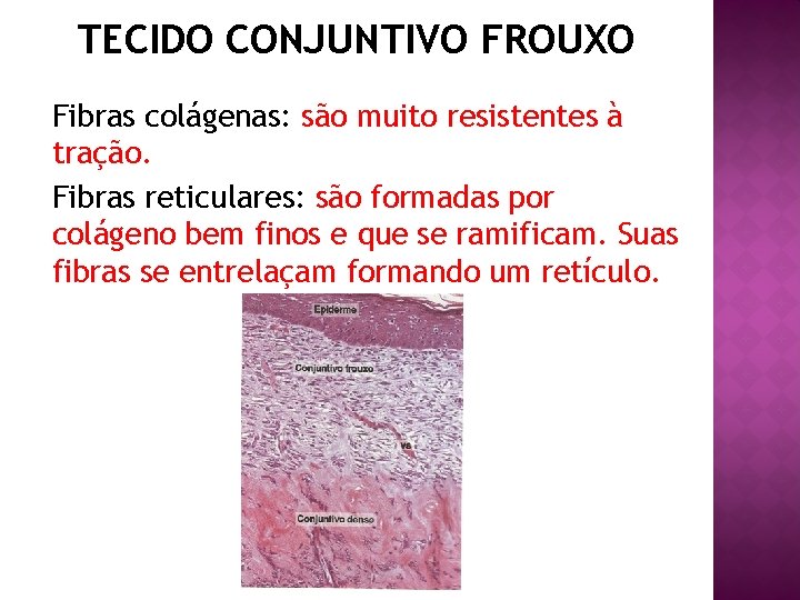 TECIDO CONJUNTIVO FROUXO Fibras colágenas: são muito resistentes à tração. Fibras reticulares: são formadas