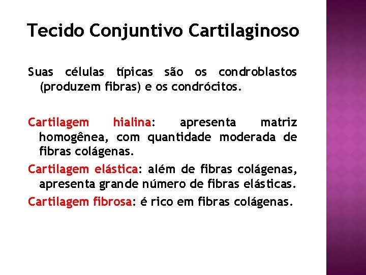 Tecido Conjuntivo Cartilaginoso Suas células típicas são os condroblastos (produzem fibras) e os condrócitos.