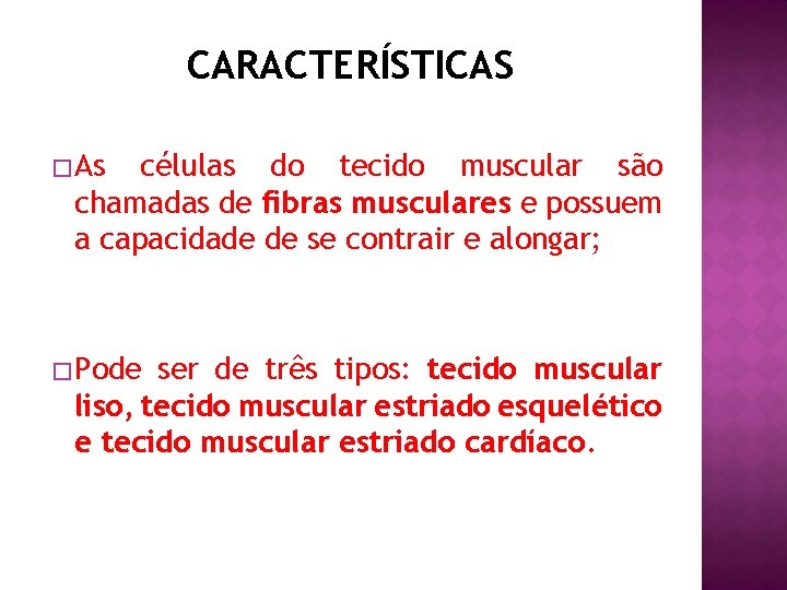 CARACTERÍSTICAS � As células do tecido muscular são chamadas de fibras musculares e possuem